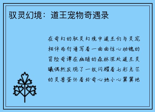 驭灵幻境：道王宠物奇遇录